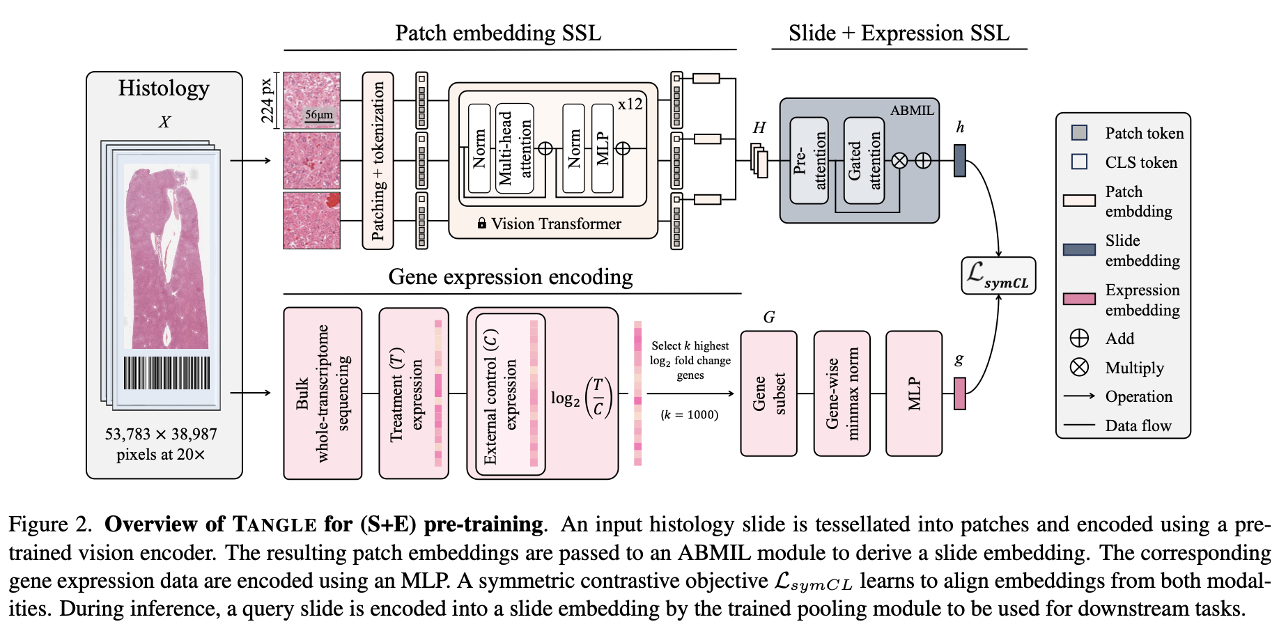 스크린샷 2024-08-26 06.53.20.png