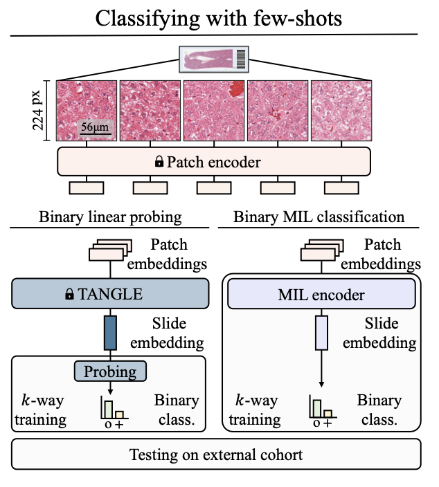 스크린샷 2024-08-26 06.54.45.png