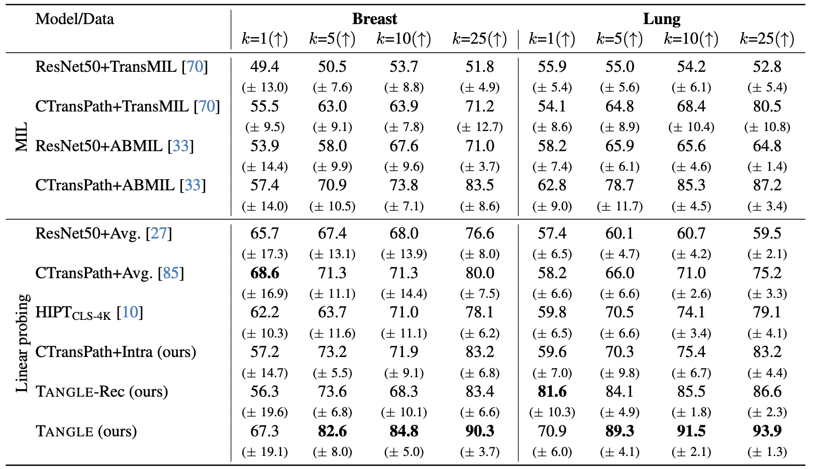 스크린샷 2024-08-26 06.56.30.png