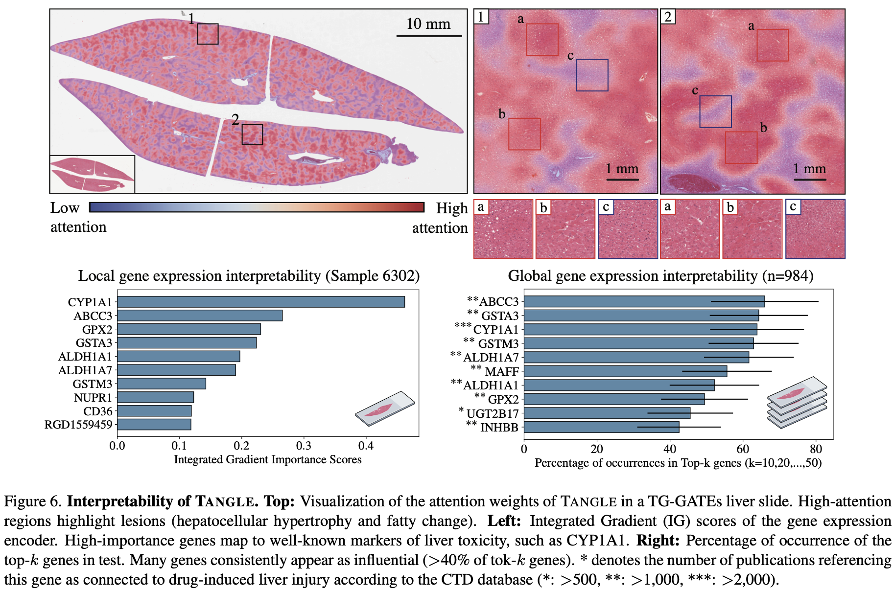 스크린샷 2024-08-26 07.01.16.png